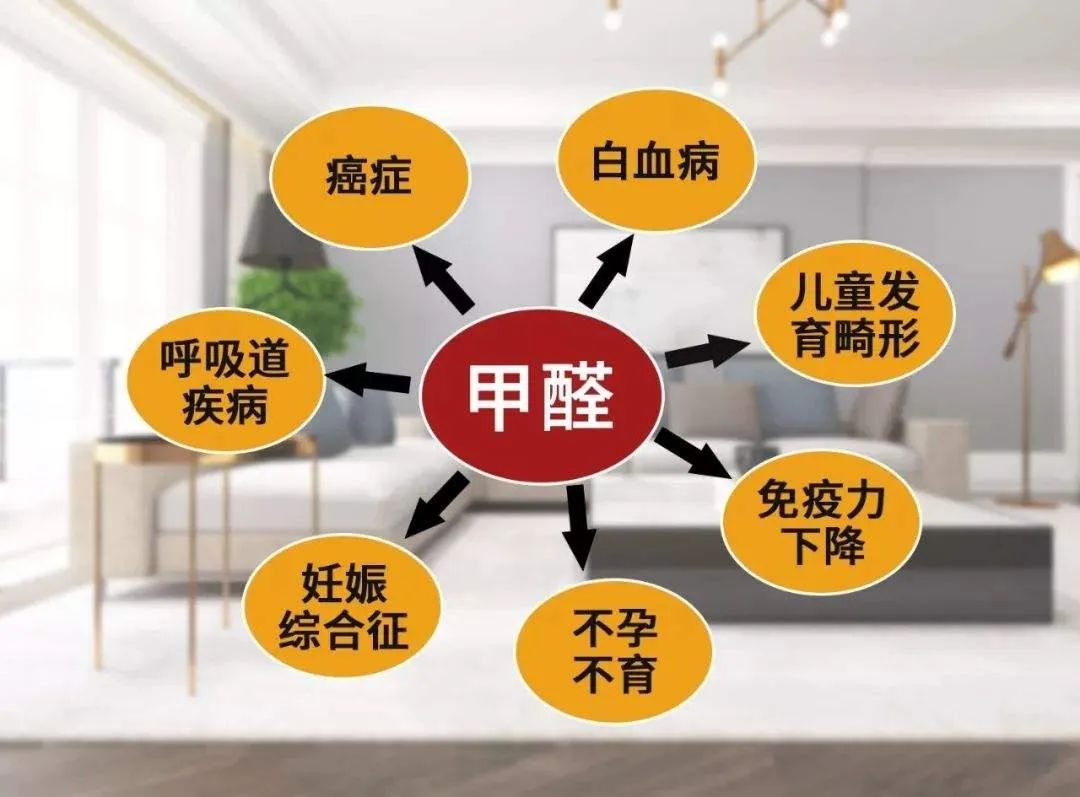 疫情當(dāng)下，更要把家打造成健康的堡壘(圖4)