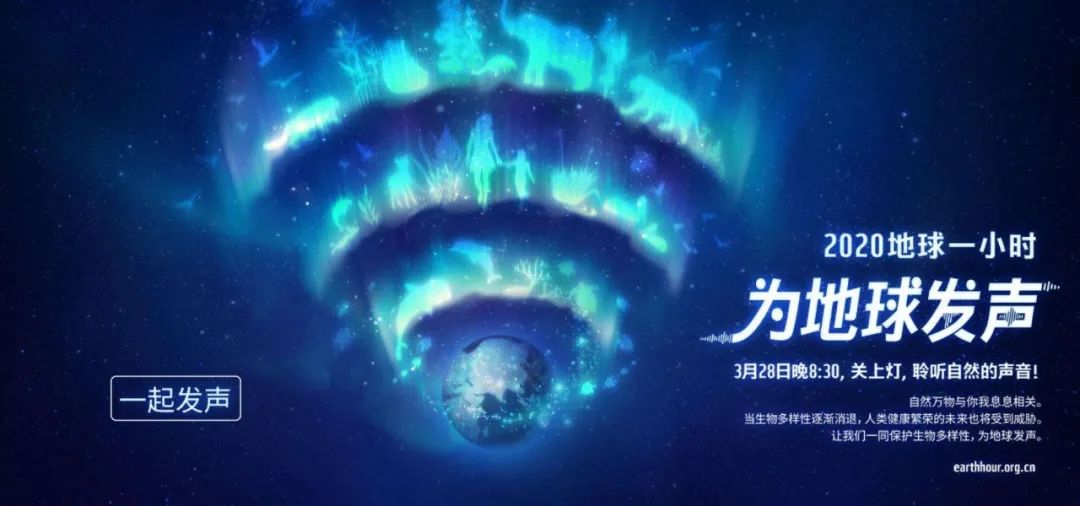 環(huán)保進(jìn)行時(shí) | 華洲木業(yè)，用行動(dòng)為地球發(fā)聲(圖1)