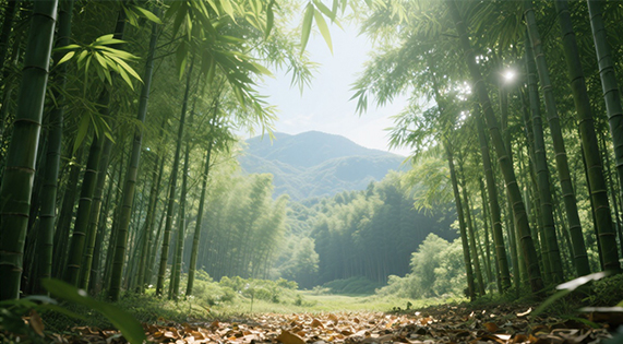 華洲竹馨板：從鮮竹到臻品，每一步都是工藝的極致追求