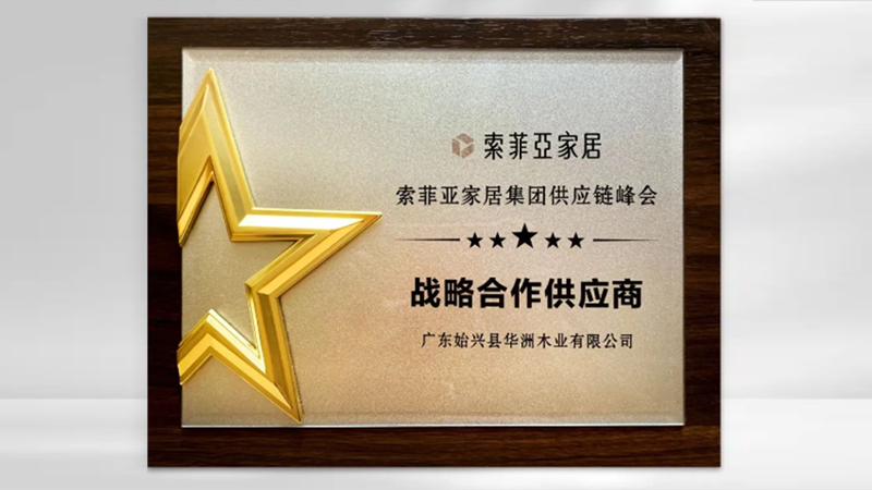 【品牌實(shí)力】華洲：創(chuàng)新引領(lǐng)，品質(zhì)鑄就傳奇(圖5)