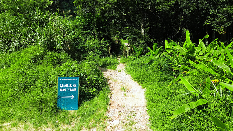 嚴(yán)格選材，只為一張好板材！(圖1)