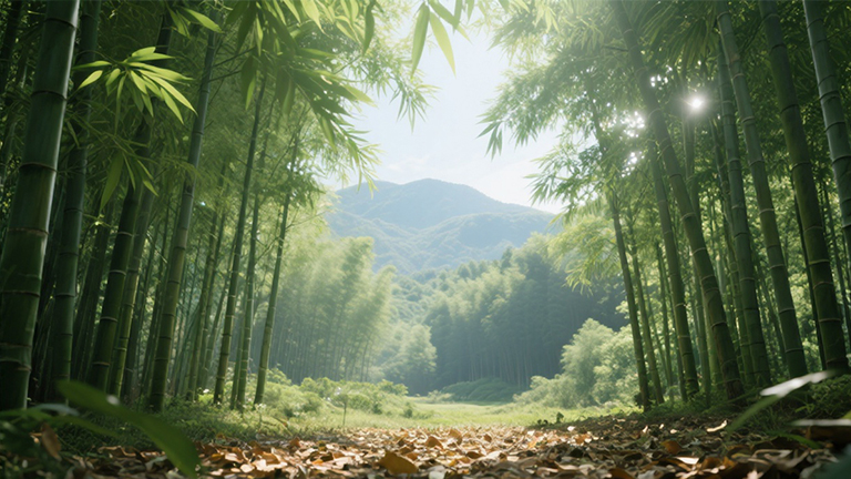 官網(wǎng)2.jpg